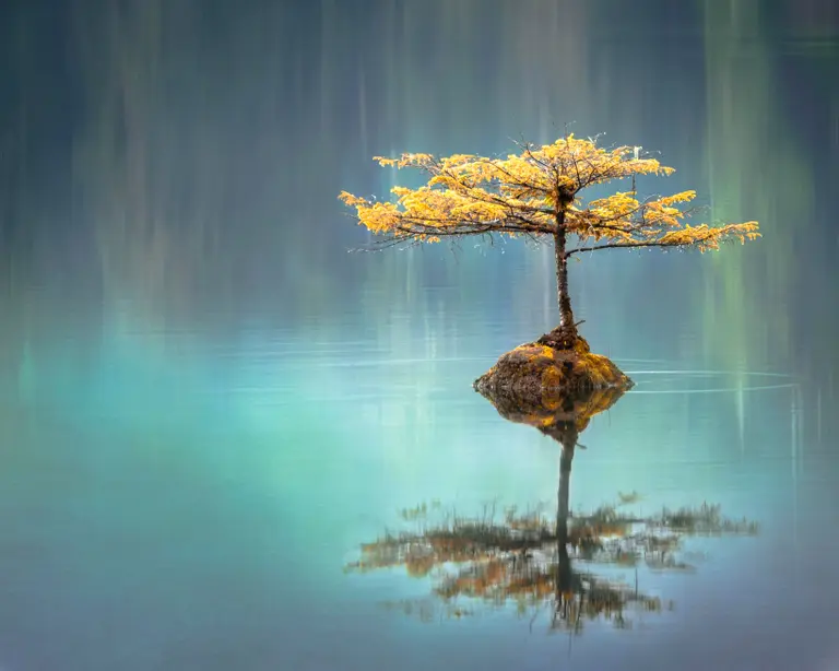 Symmetry in nature