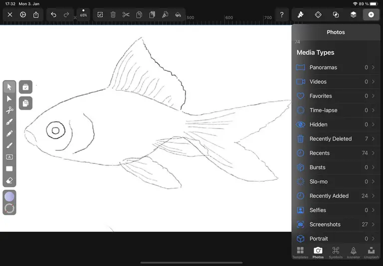 place sketch with vectornator
