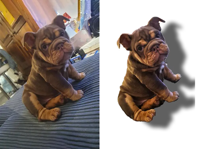 Reference image