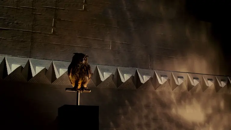 Owl sitting on a rod
