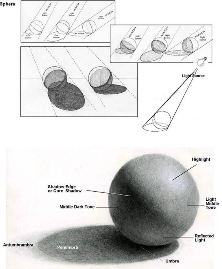 Instructional drawing illustrating light, shadow, and shading on a sphere, showing highlight, core shadow, and light source dynamics.