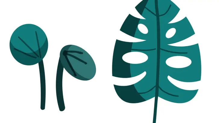 Blog Page Hero Image