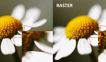 omparison of raster vs vector artwork at high magnification