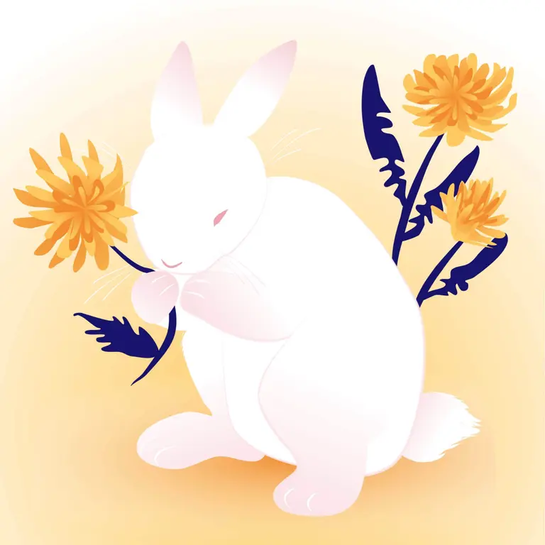 Drawing a rabbit in vector format using iPad