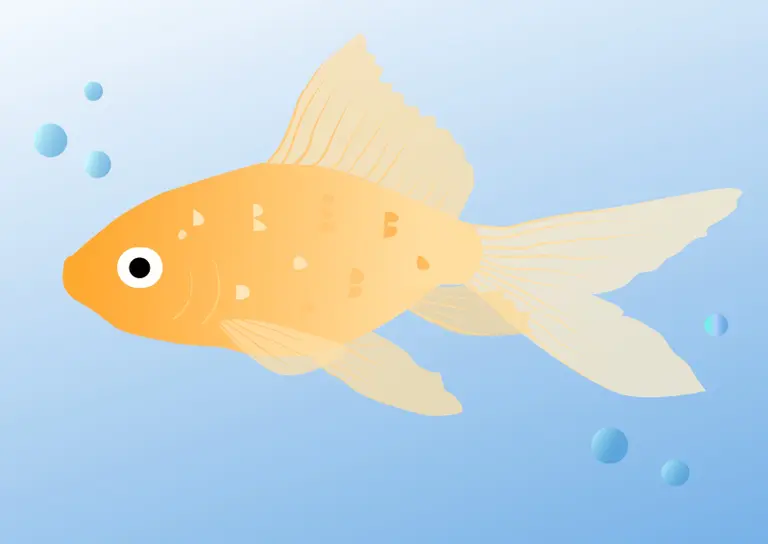 fish drawing with Vector art