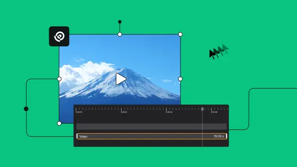 bottom-vector