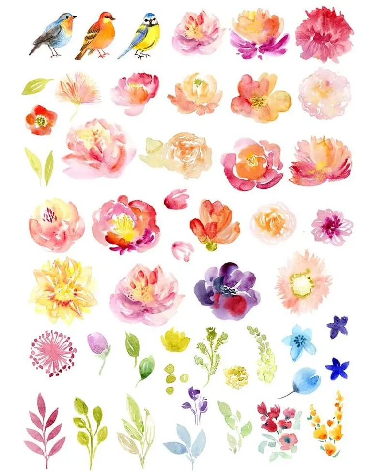 Bird, flower, and leaf watercolor clipart
