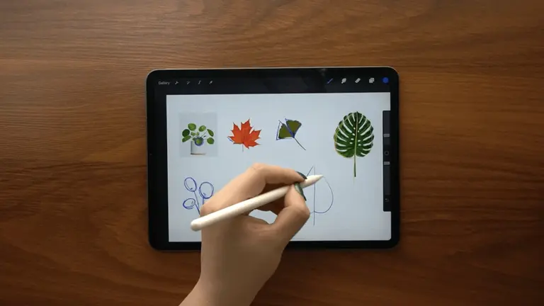 drawing leafs on ipad