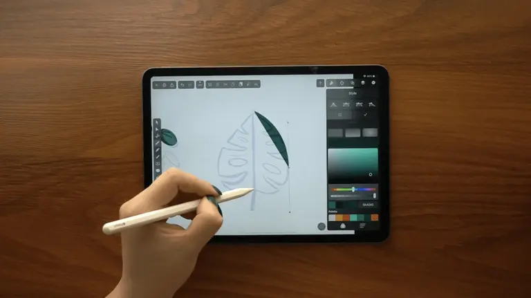 draw monstera leaf on ipad