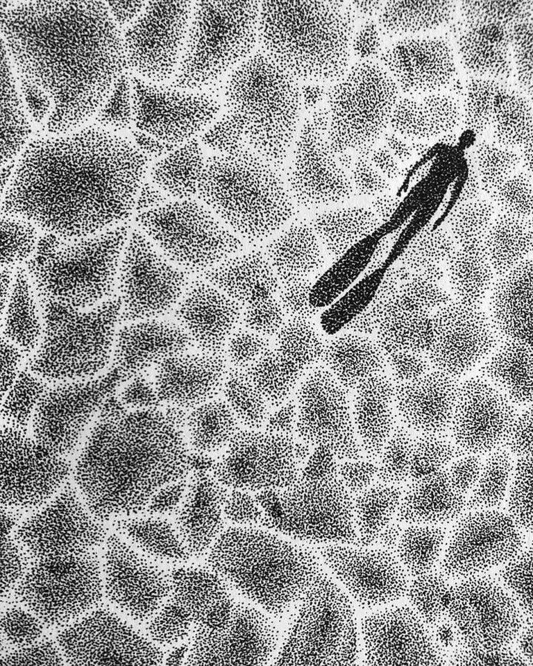 Stippling-style artwork of a diver with fins swimming underwater, casting a shadow against a textured pattern of sunlight through water.