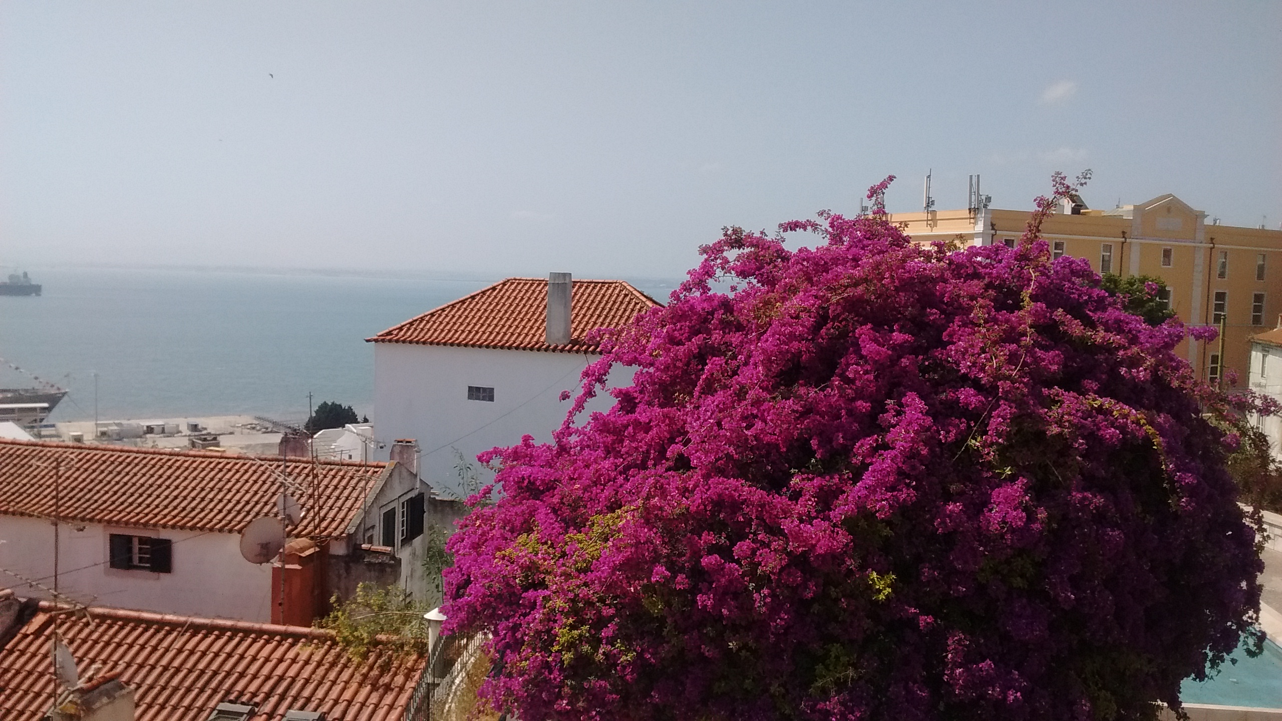 De Volksbuurten Wandeling