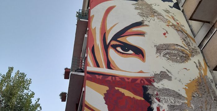 De Streetart Wandeling