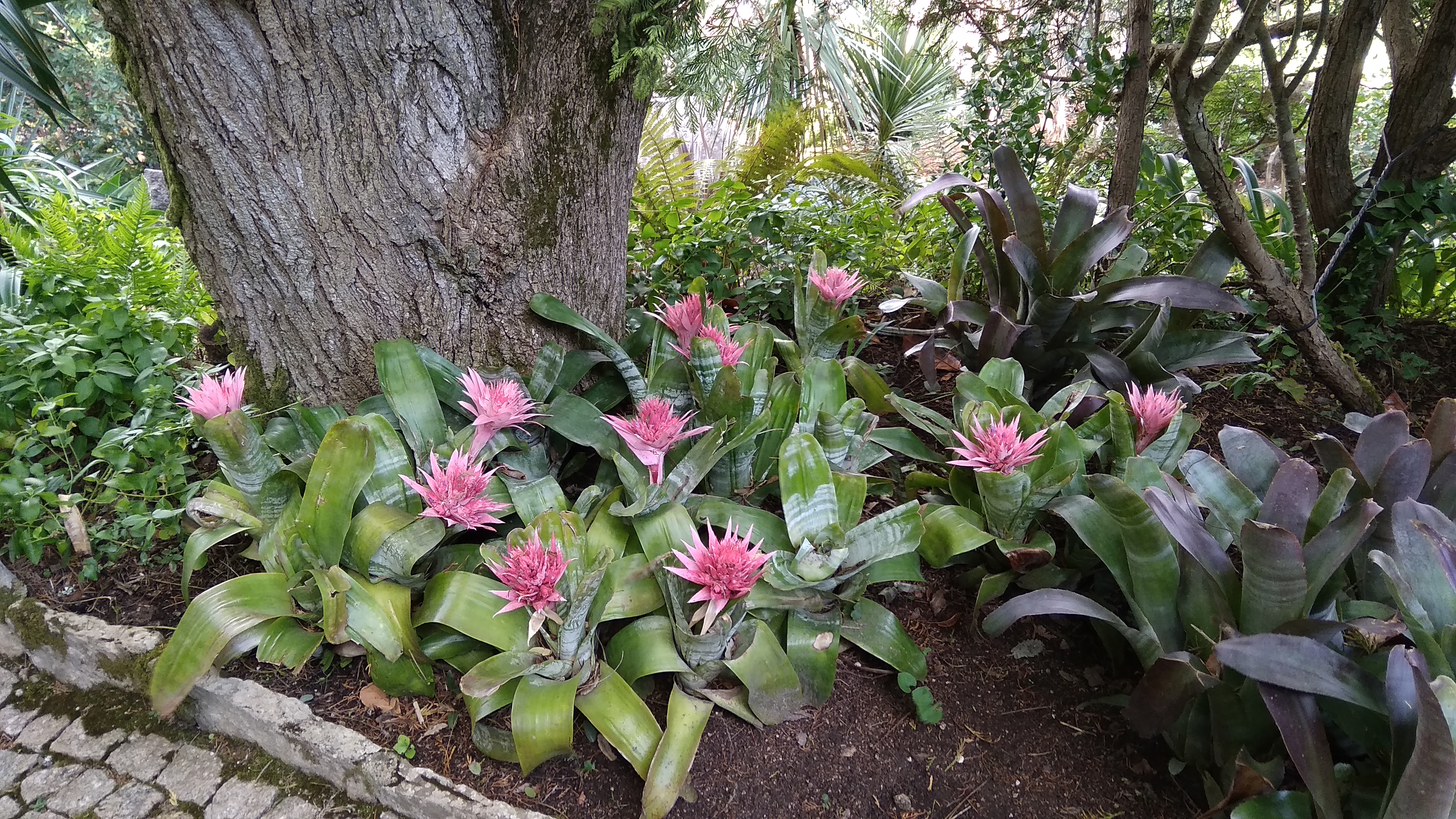 De Mouros Wandeling — sfeerbeeld