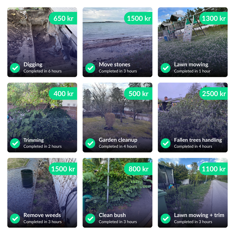 mobile app