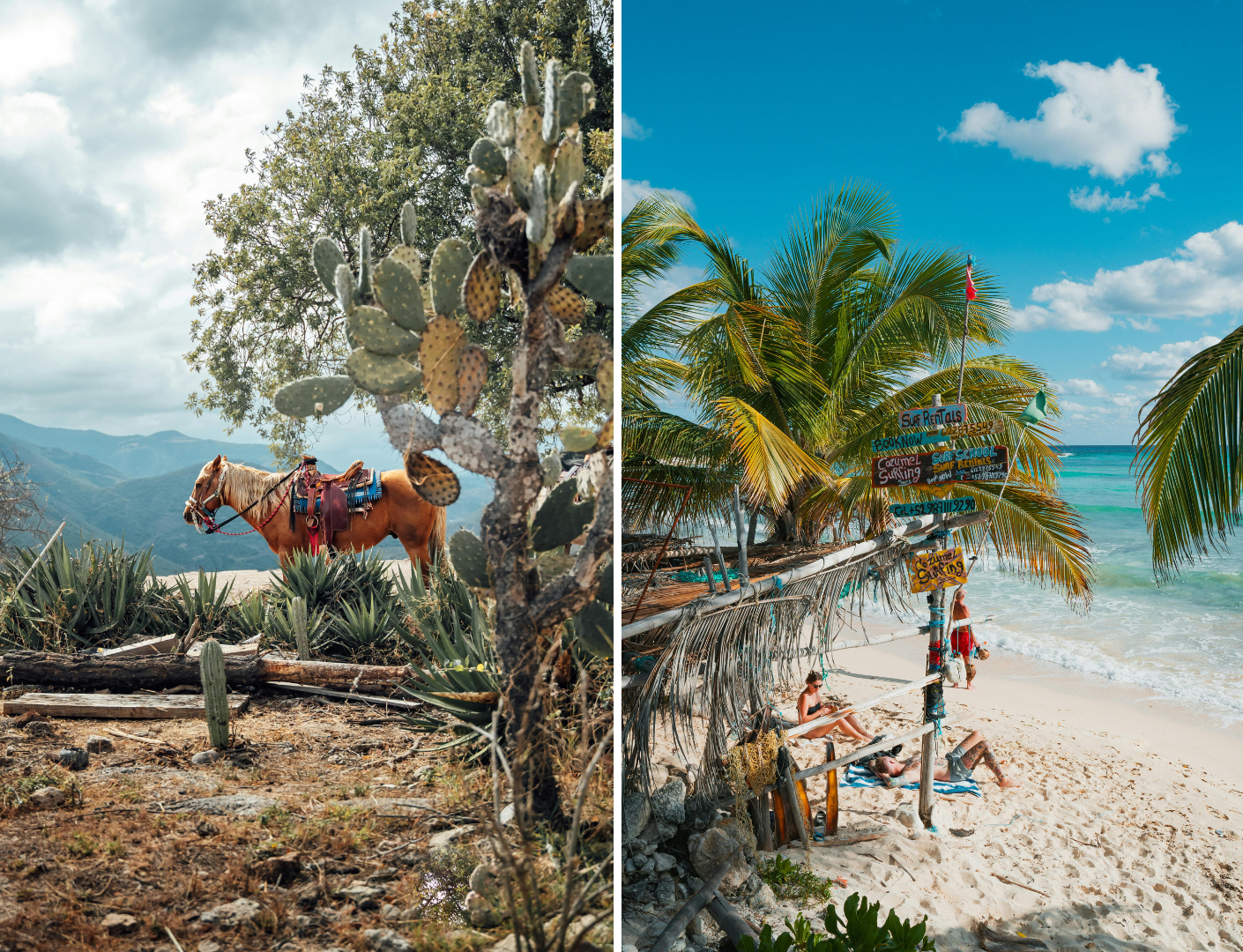 Prachtige bergen met paard en mooi strand