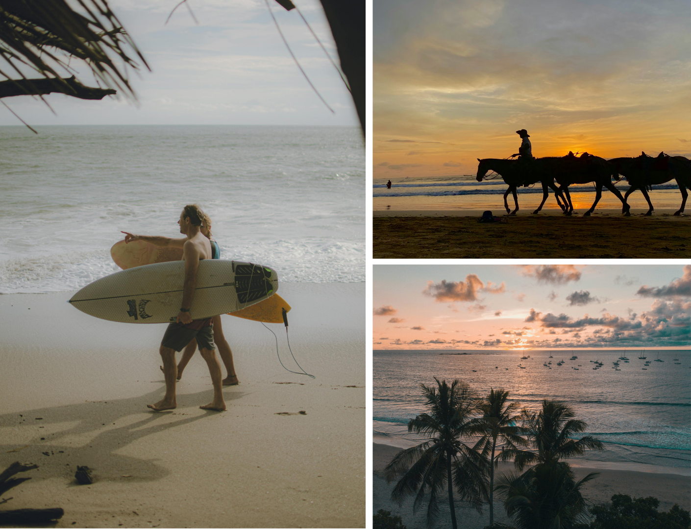 Surfers en paarden op de stranden van Tamarindo