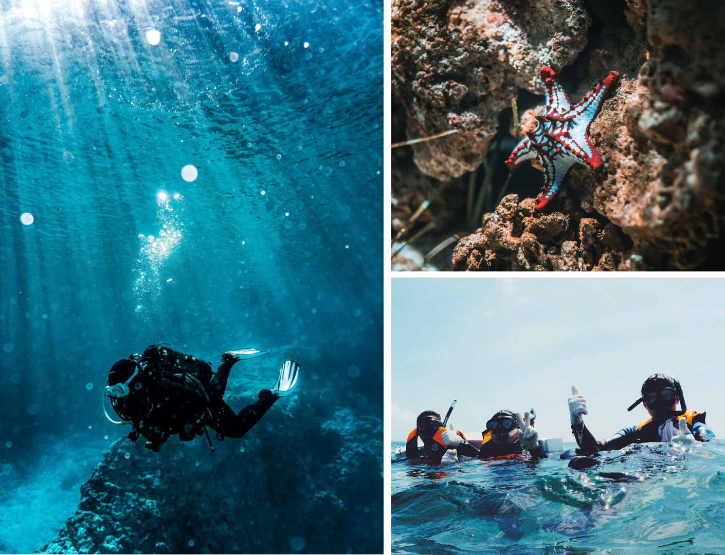 Prachtig helder water met duikers