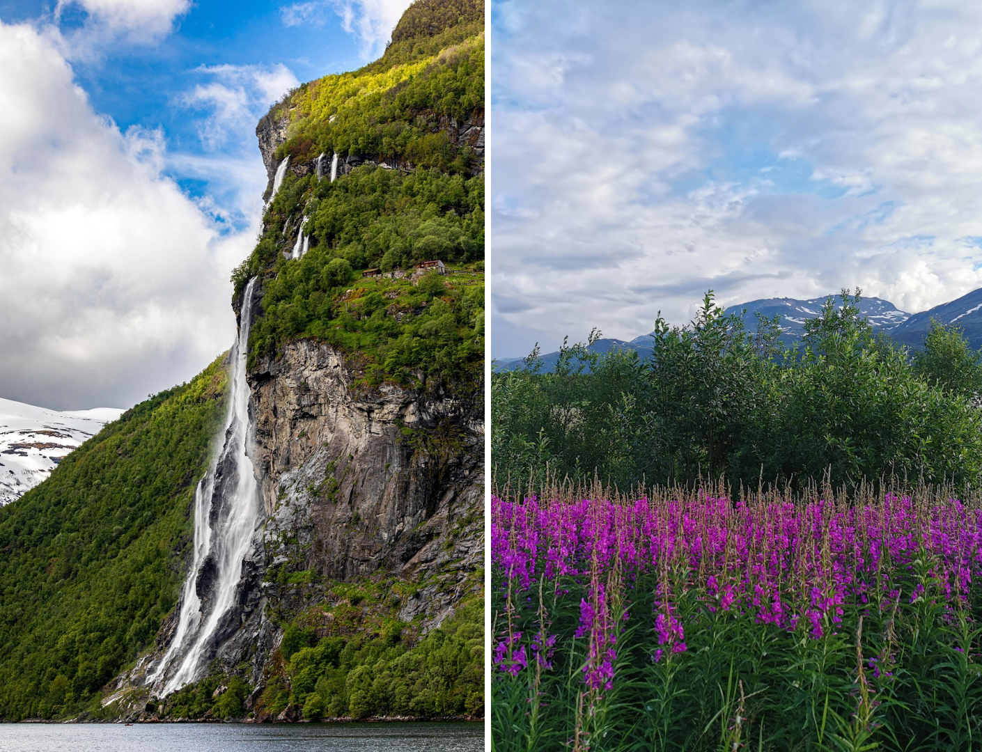 waterval en paarse bloemen