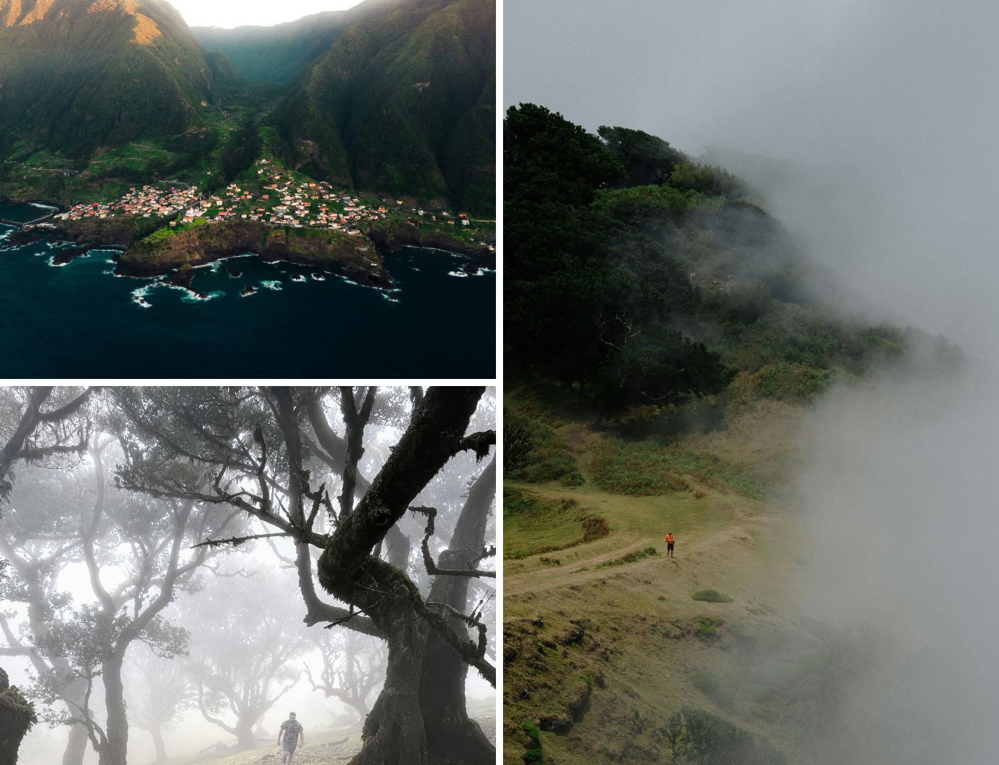 Mist in bossen terwijl iemand er doorheen loopt en prachtig uitzicht van een kustplaatsje
