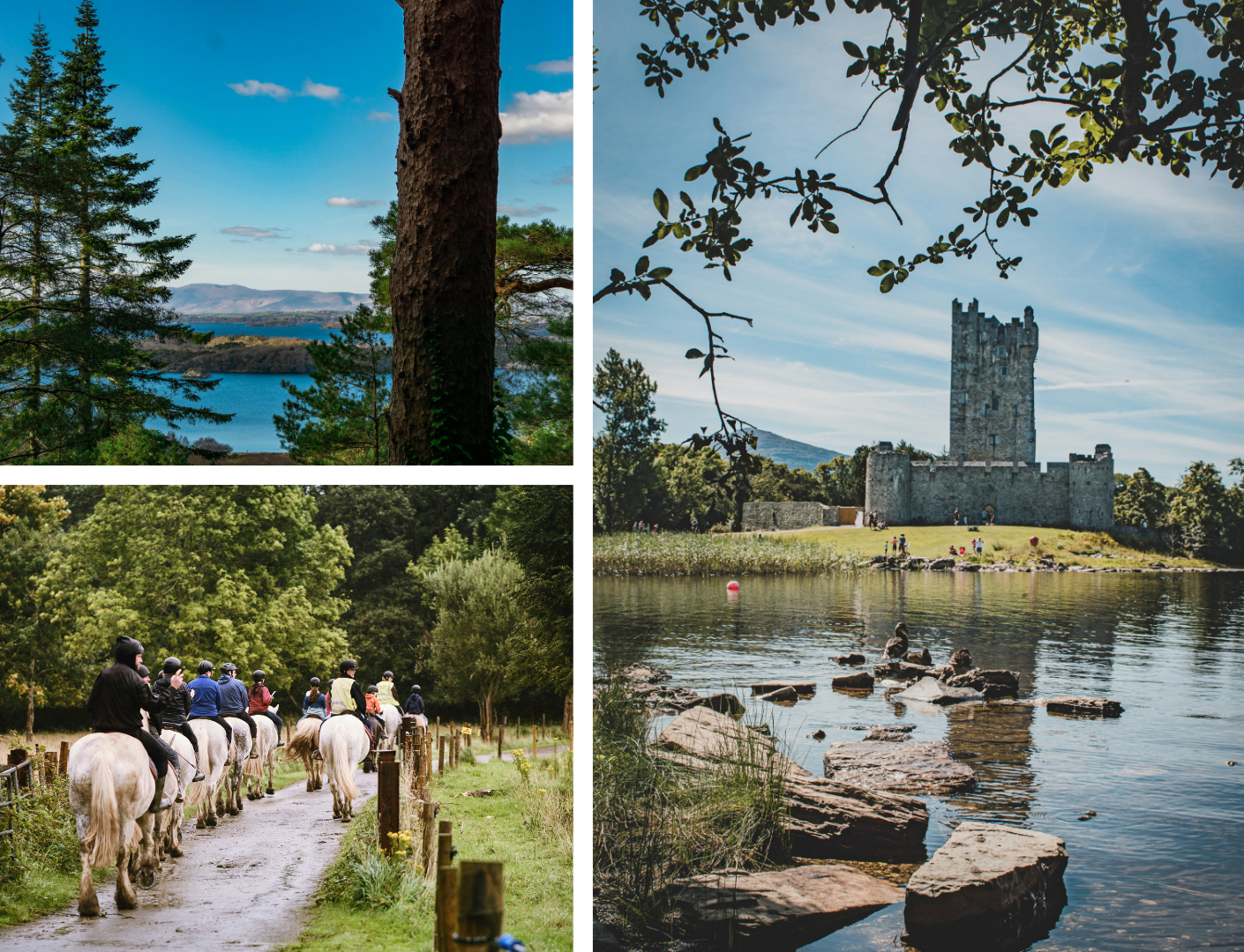 mooie groene natuur beelden van Killarney national park