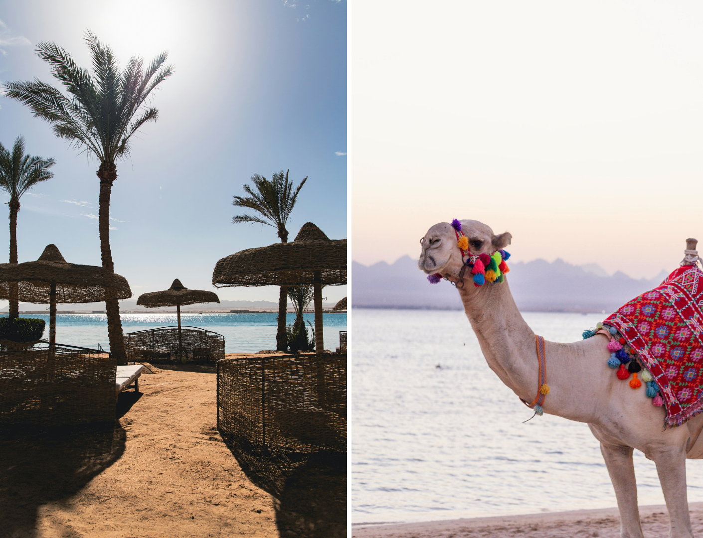 Rusten op het strand van Safaga