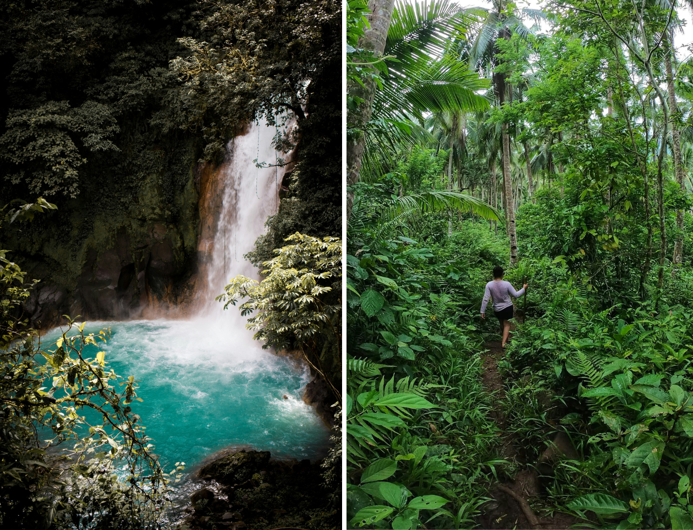 Costa Rica jungle en waterval