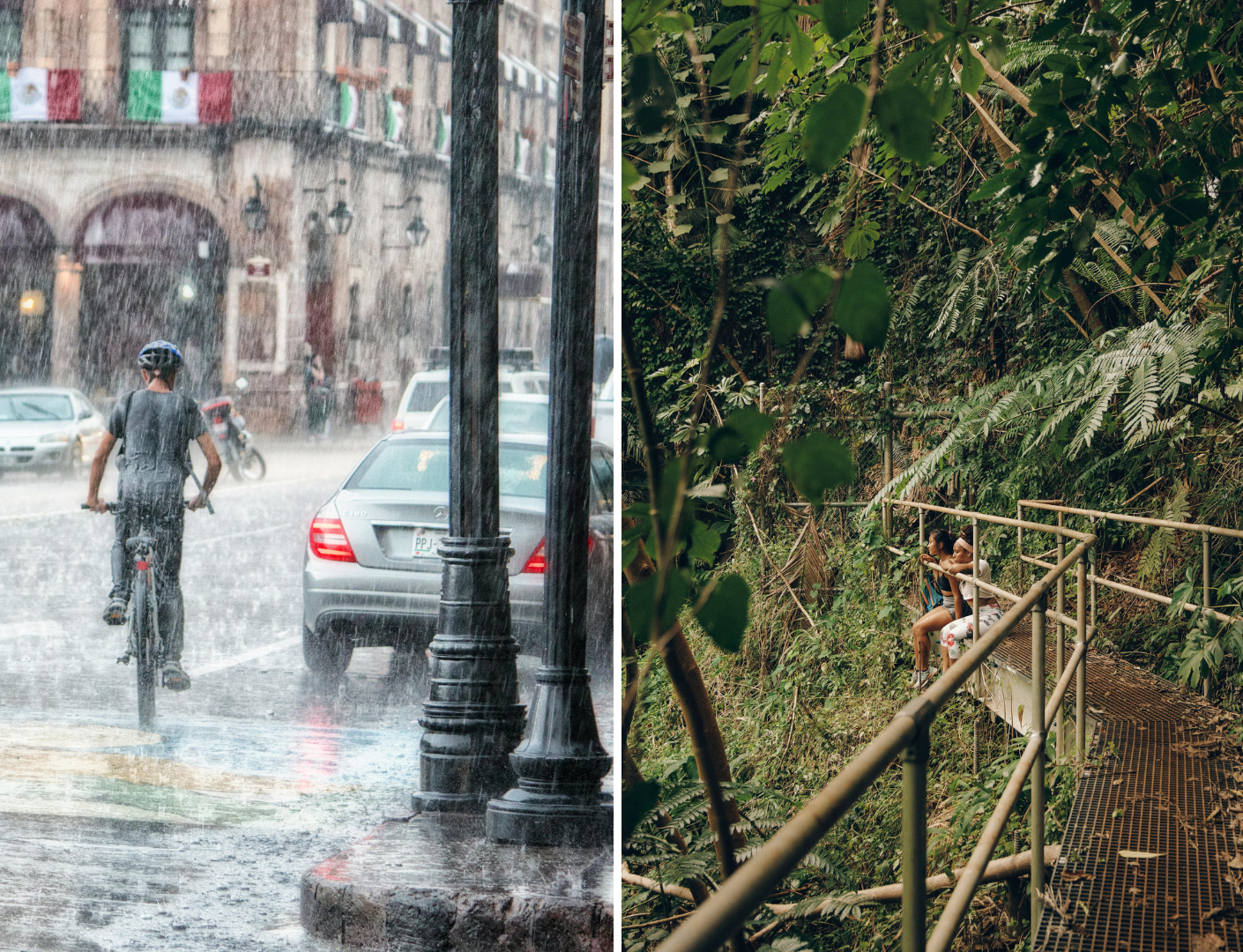 prachtige jungle en regen