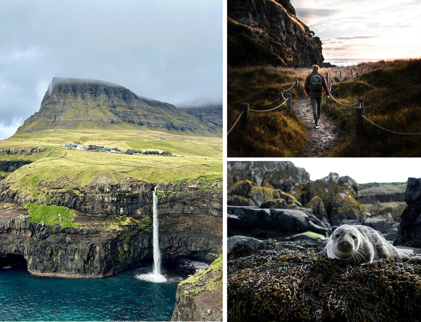 prachtige waterval en kust