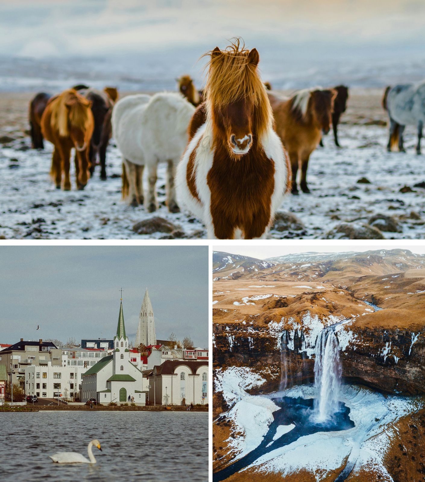 Prachtige plekken in IJsland