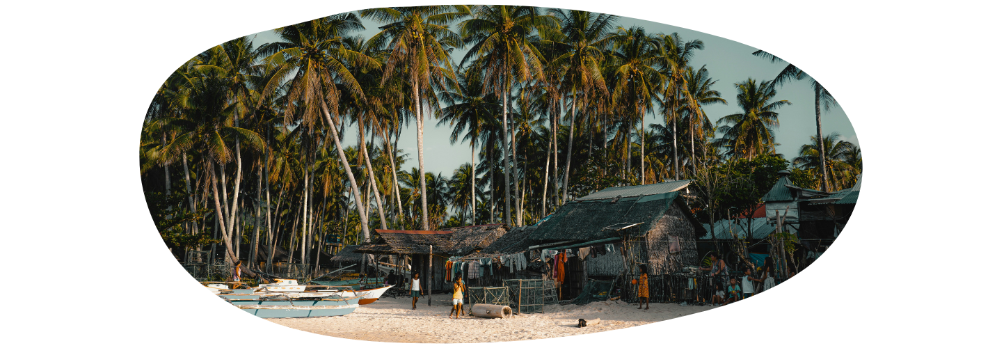 Prachtig strand met palmbomen en bootjes