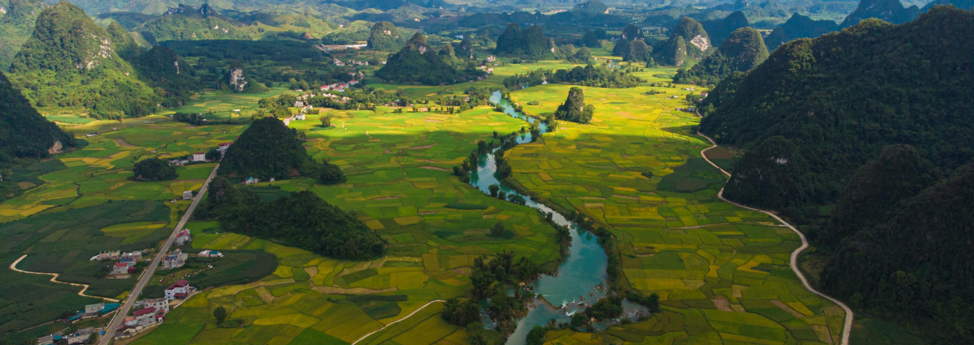 Prachtige rivier en wijngaarden