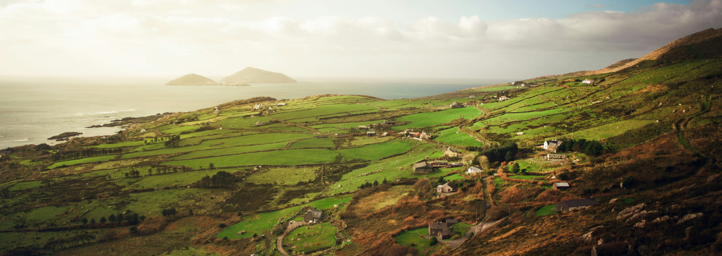 Groene velden tijdens de zonsondergang