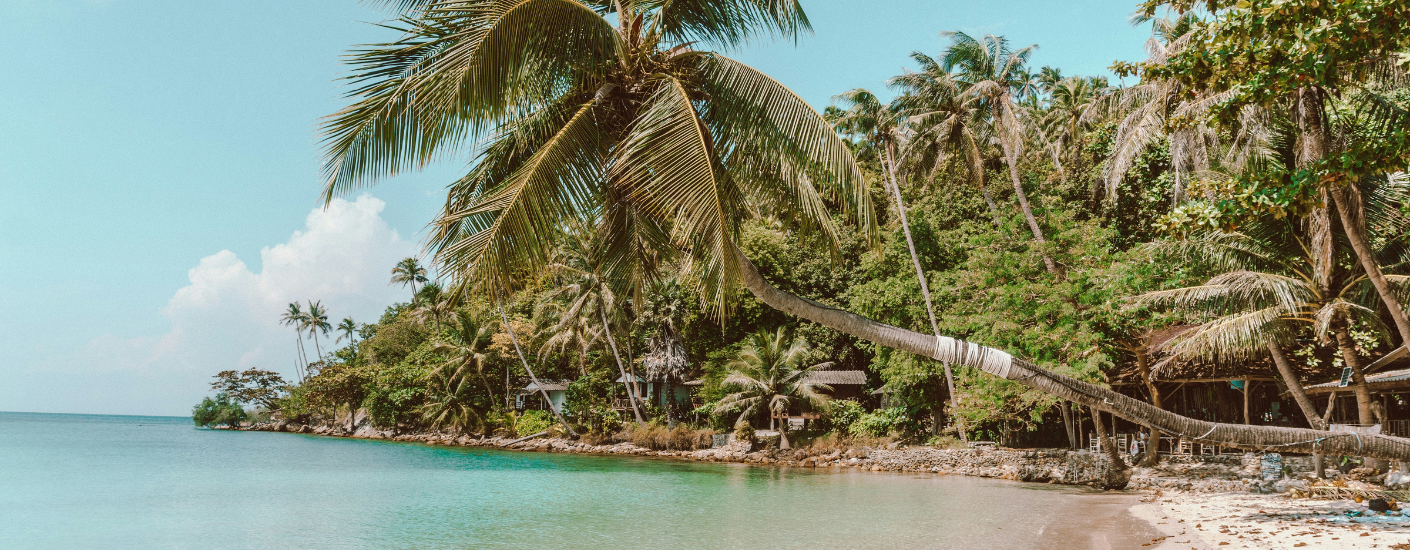 prachtig strand met blauw zee water met palm