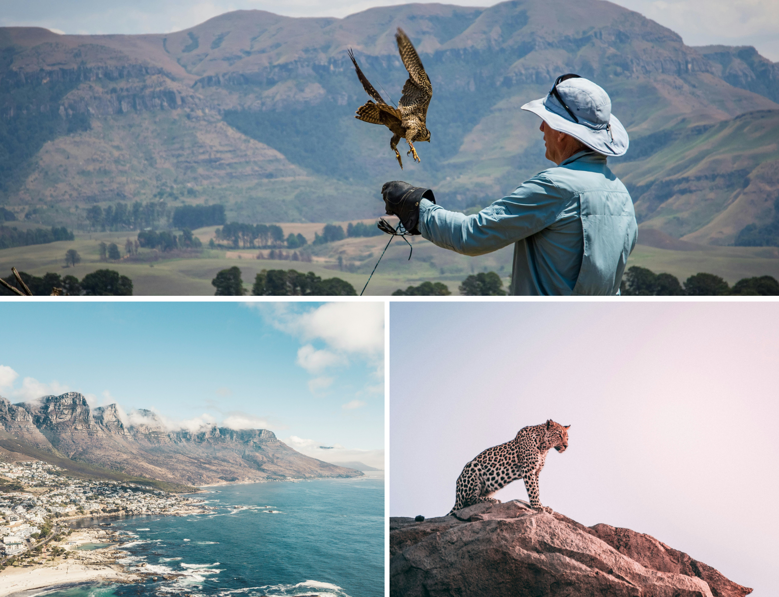 Beelden van de lente in Zuid-afrika