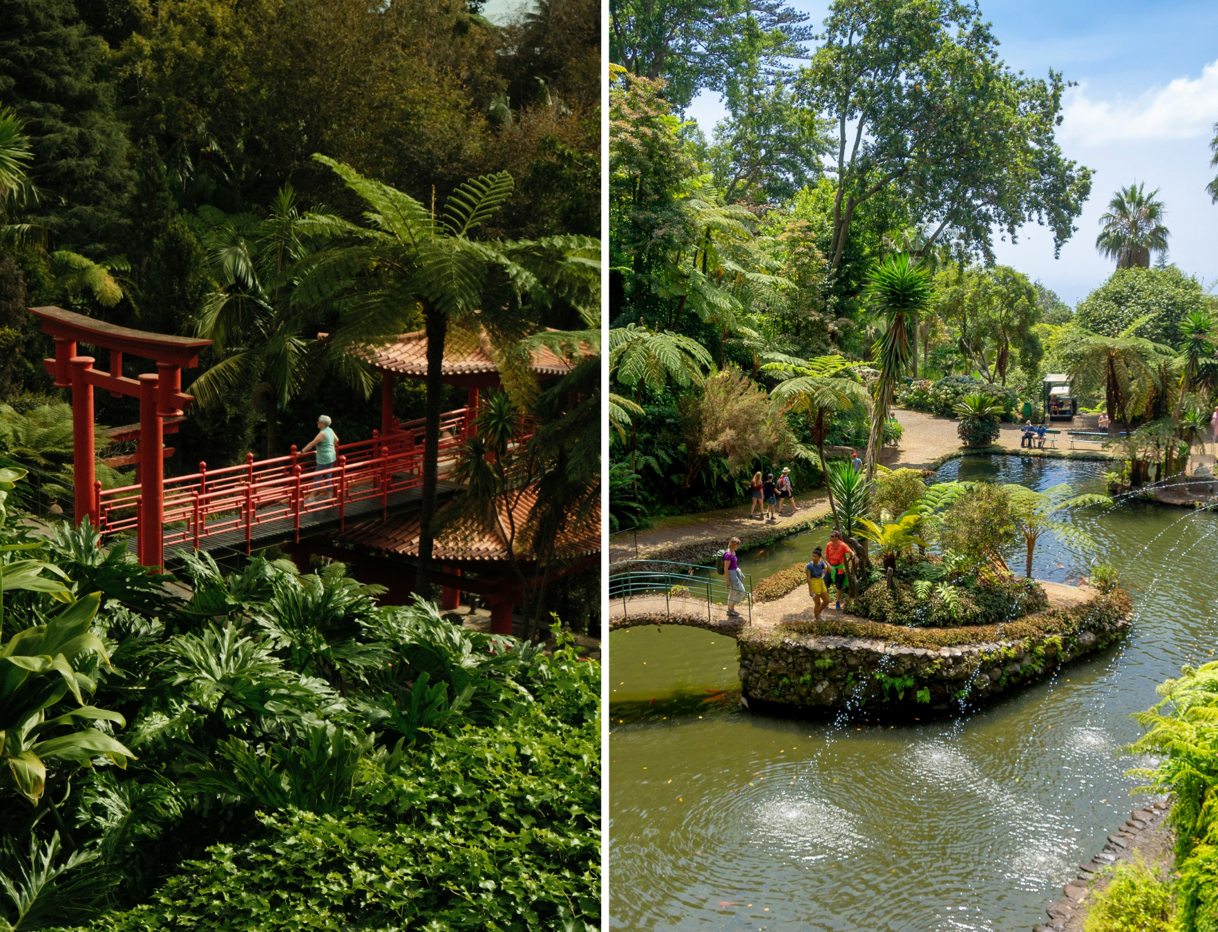 Split scene: left — red torii and pedestrian bridge in a lush garden; right — koi pond with a planted island, walking paths and visitors.