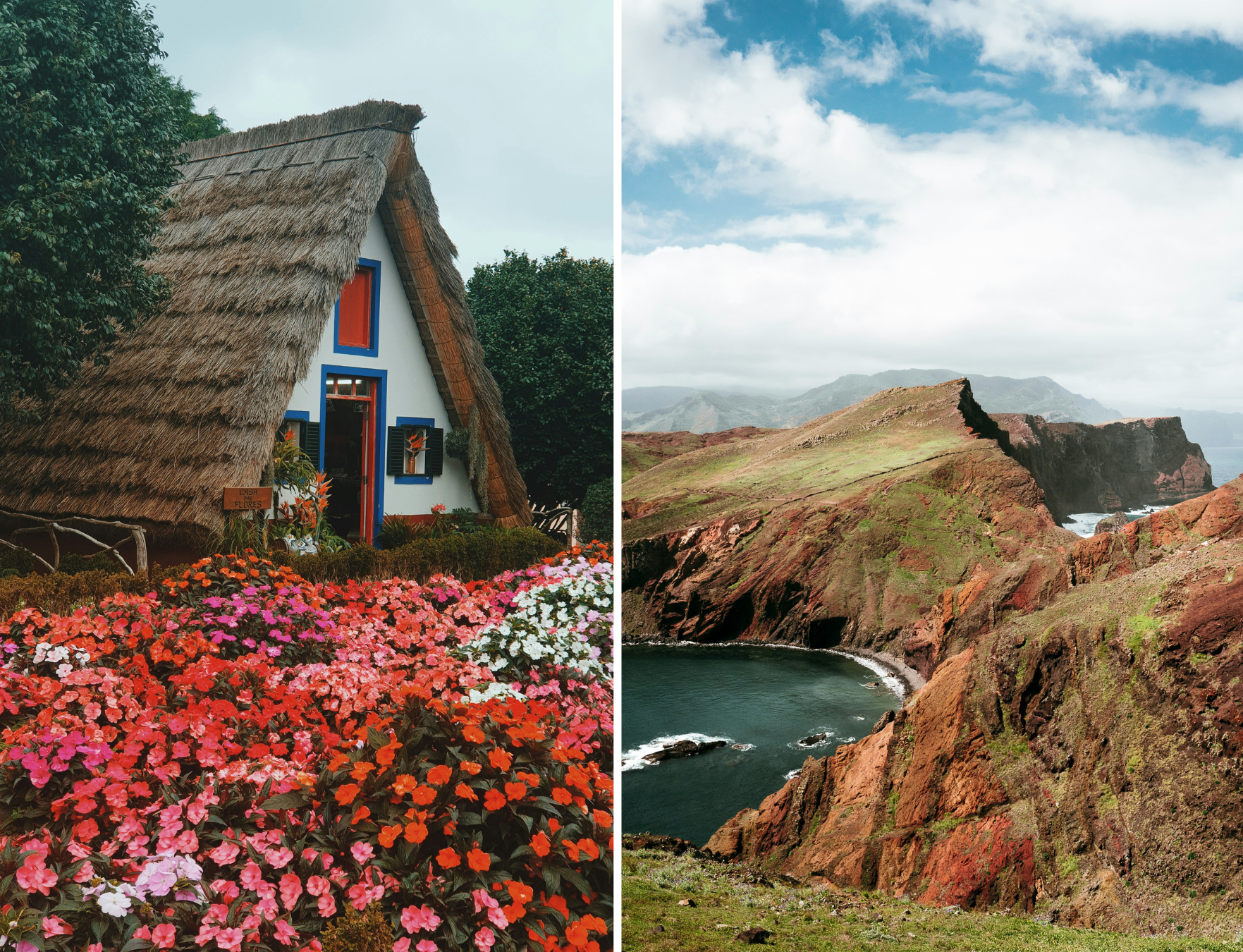 Split image: left thatched A-frame cottage with blue windows amid bright pink, red and white flowers; right rugged rust-red coastal cliffs.