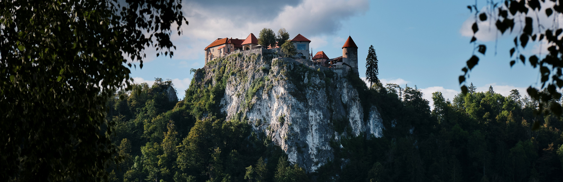 Medieval castle with red-roofed towers perched atop a steep limestone cliff, surrounded by dense forest and framed by foreground leaves.