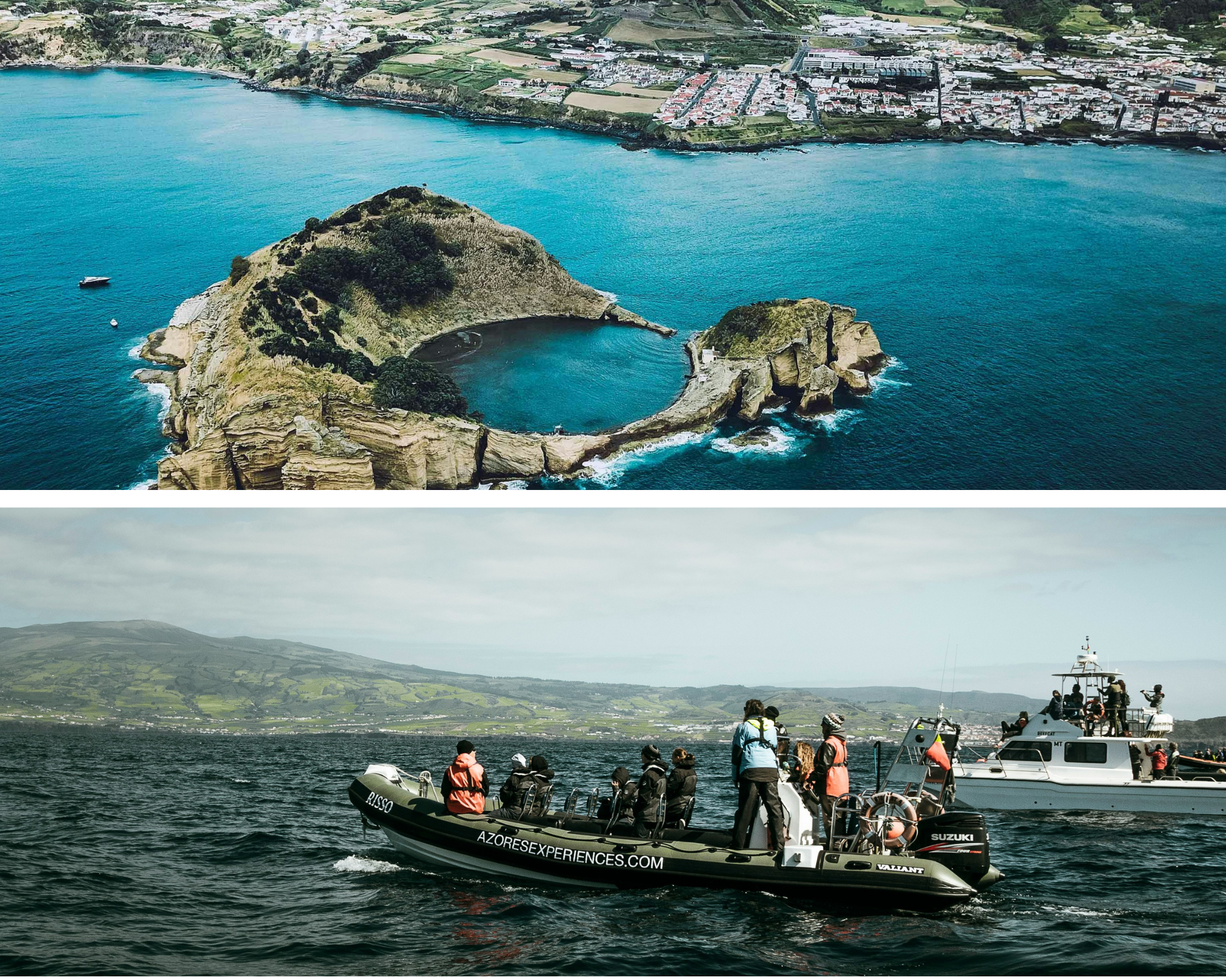 Prachtig helderblauw water en een rib met mensen die erop die opzoek zijn naar walvissen