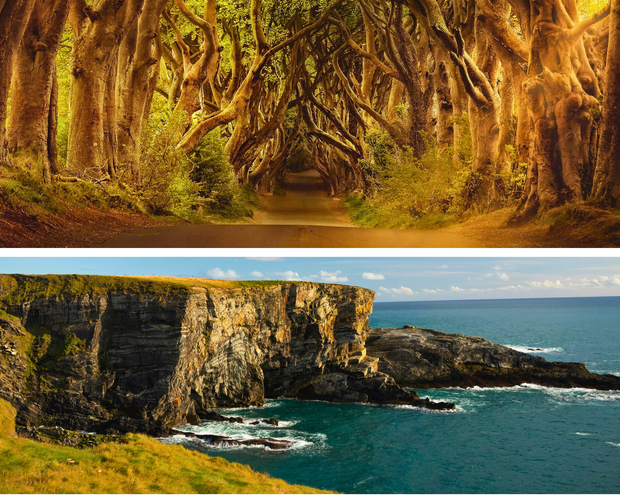 Prachtige kliffen aan het water en een weg met laaghangende bomen