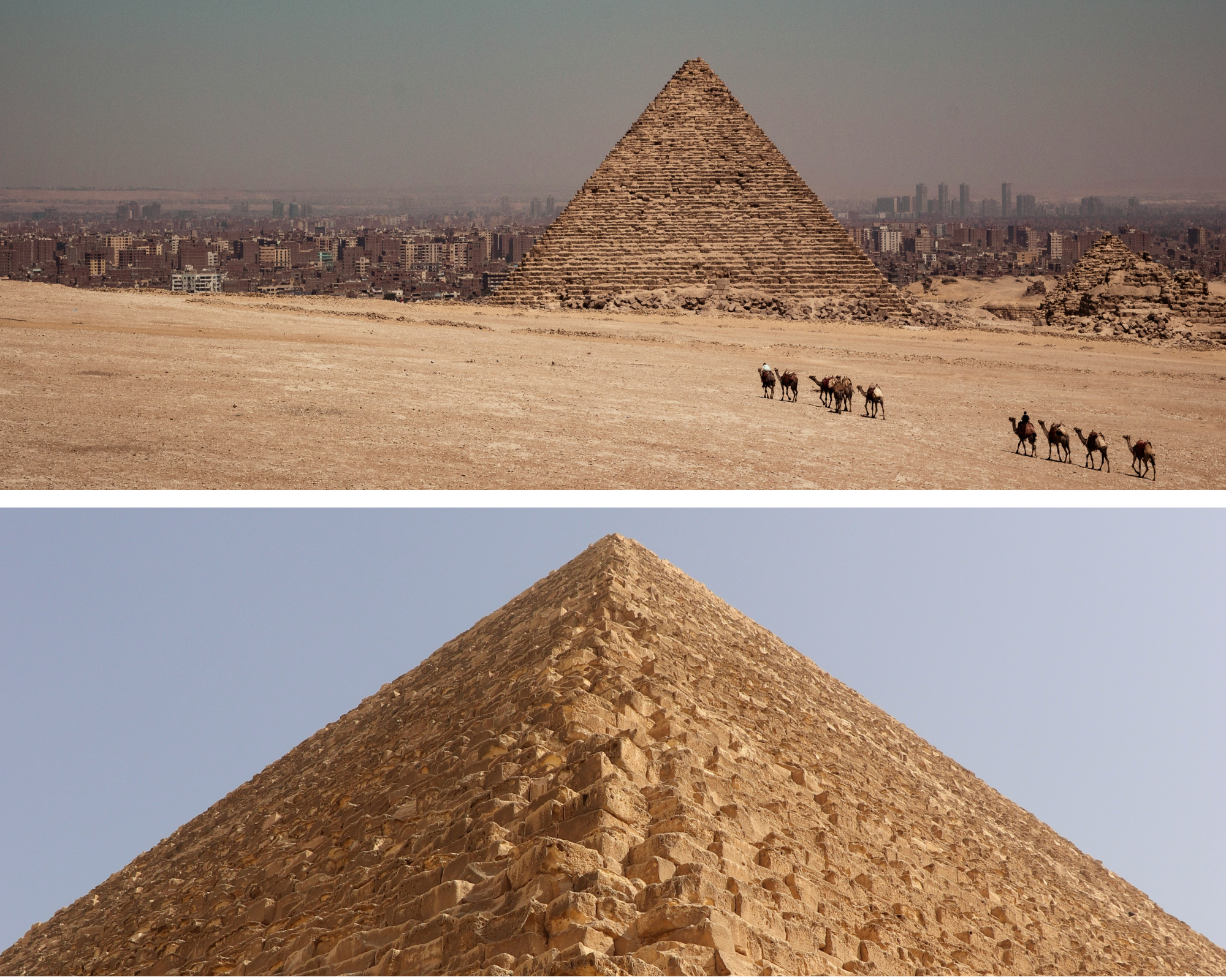 Prachtige piramiden van Gizeh en kamelen die ervoor staan