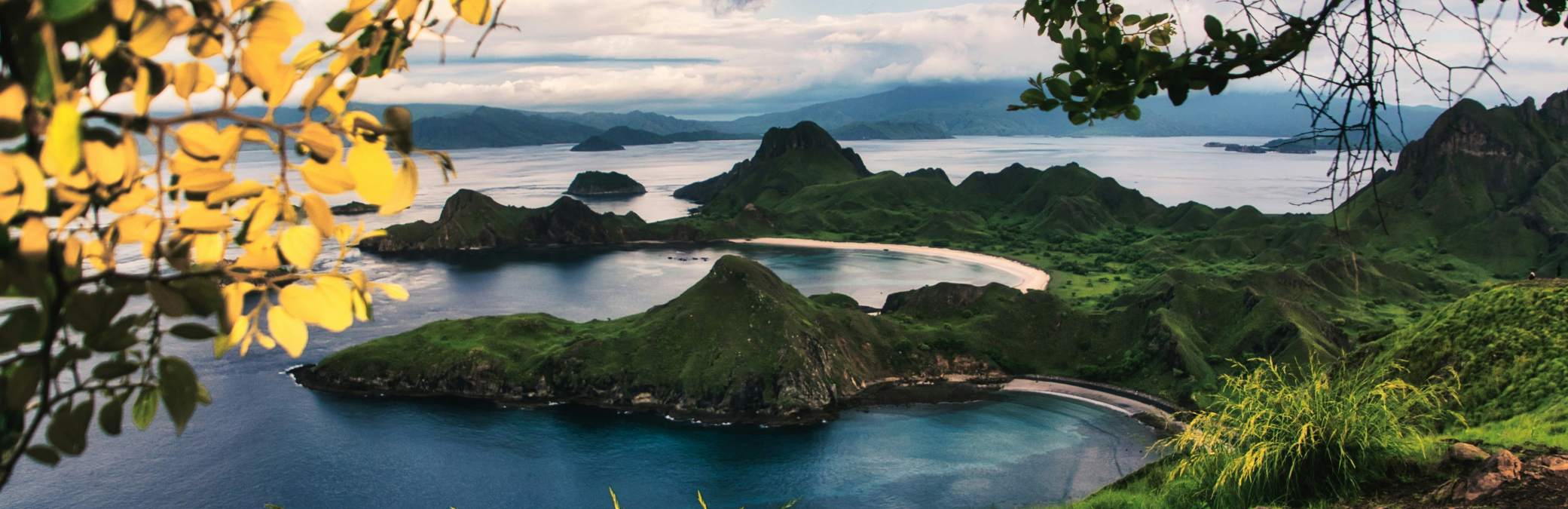 Panoramic view of lush green islands and crescent sandy bays, blue water framed by yellow leaves.