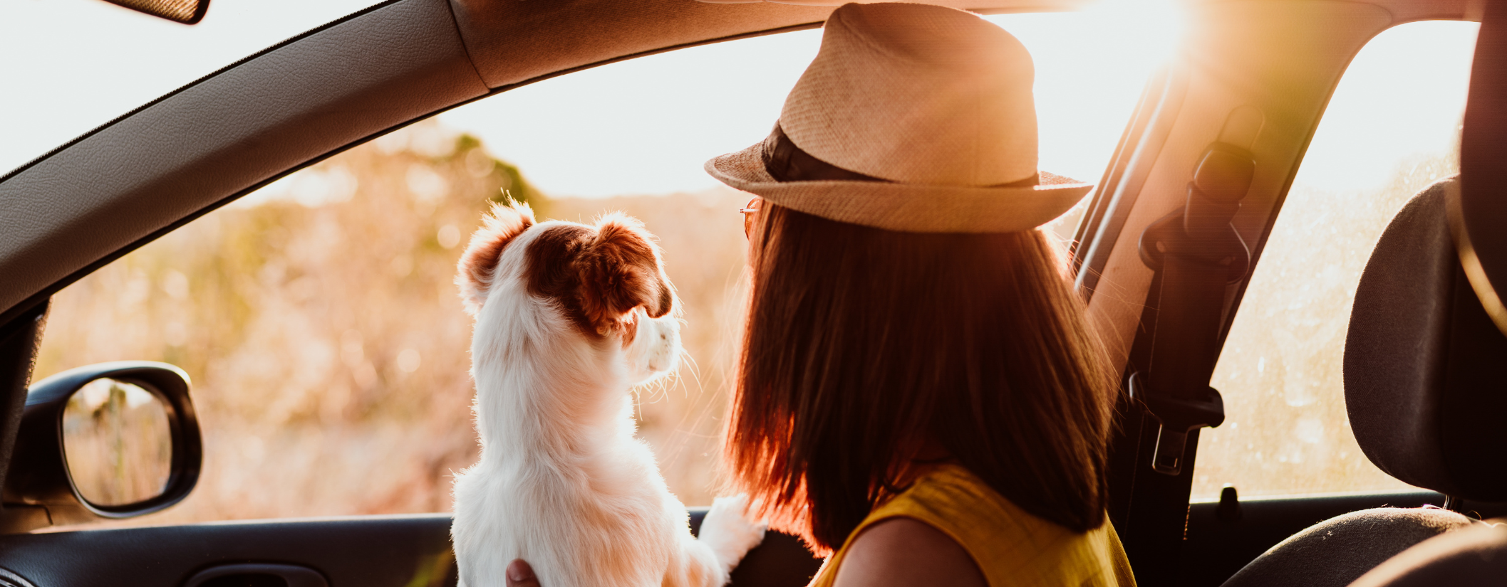 met hond in auto