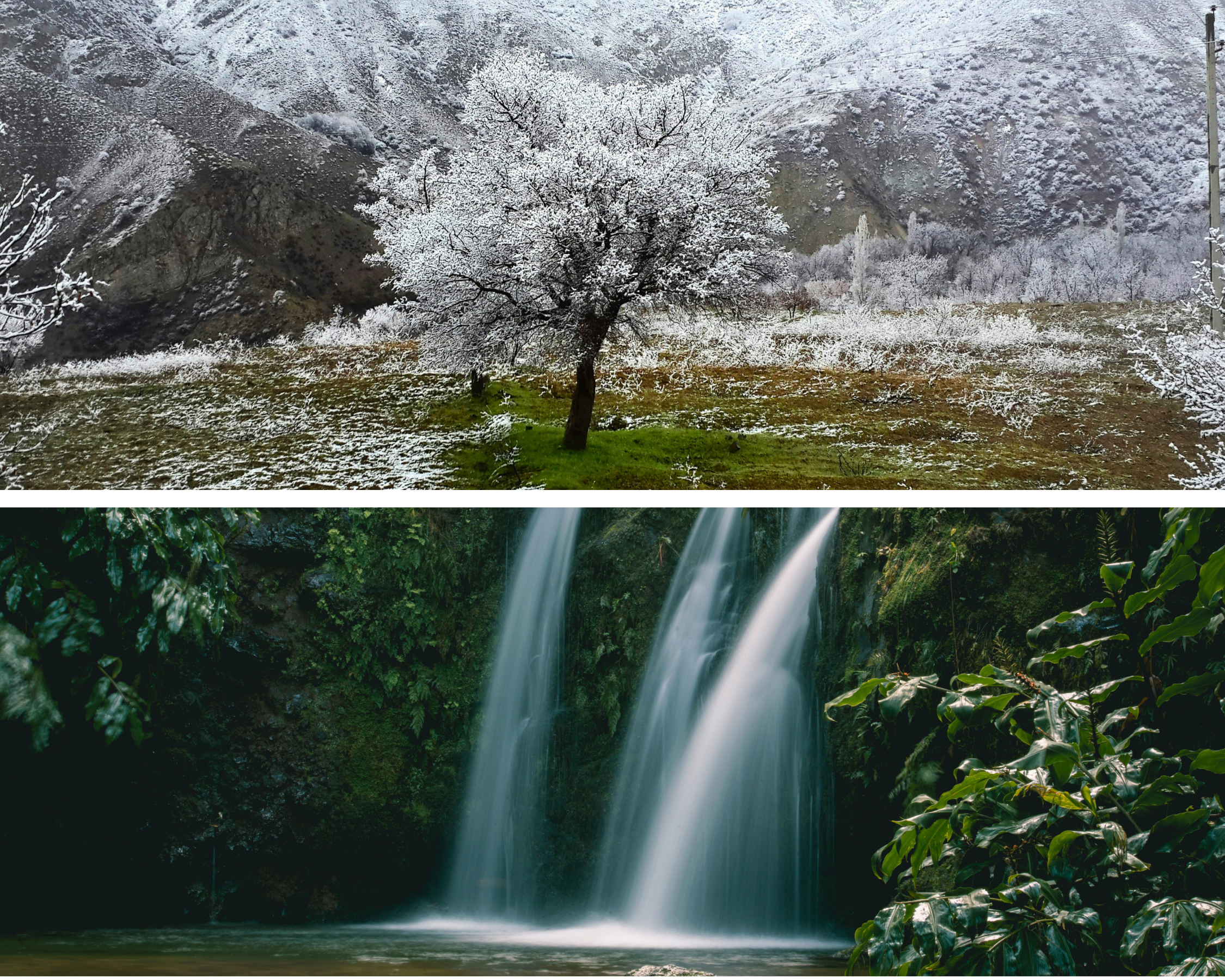 Winter in Azoren met watervallen en besneeuwde bomen