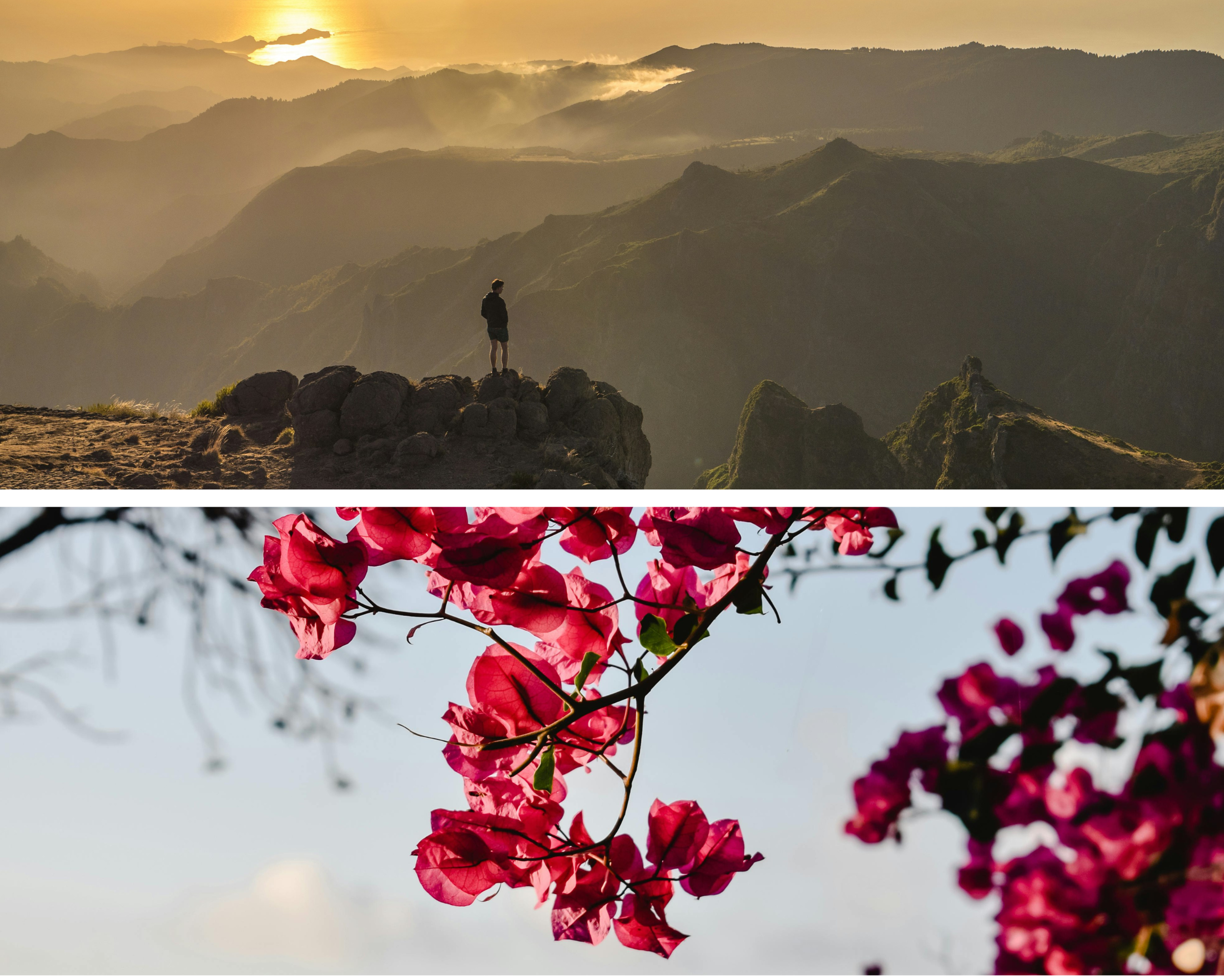 Top: person silhouetted on a rocky ridge overlooking misty mountains at golden sunset; bottom: pink bougainvillea blossoms against pale sky