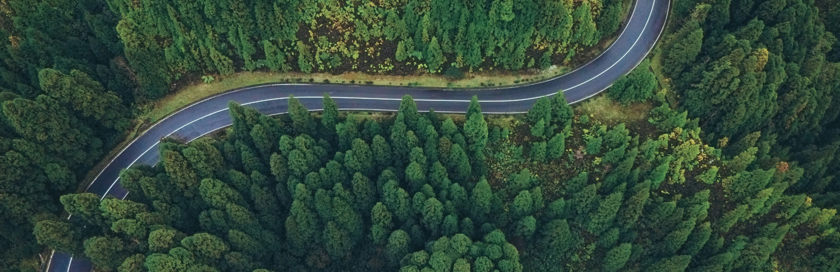 Prachtige weg in portugal met natuur eromheen