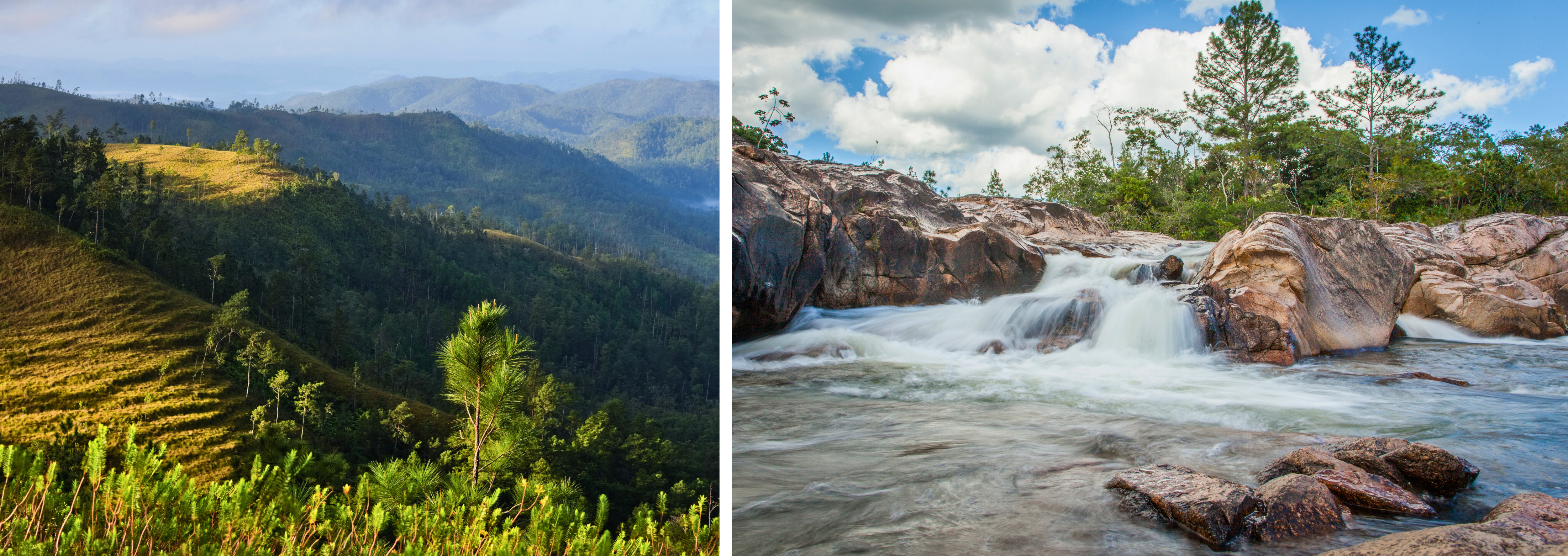 Mountain Pine Ridge Forest Reserve in Belize