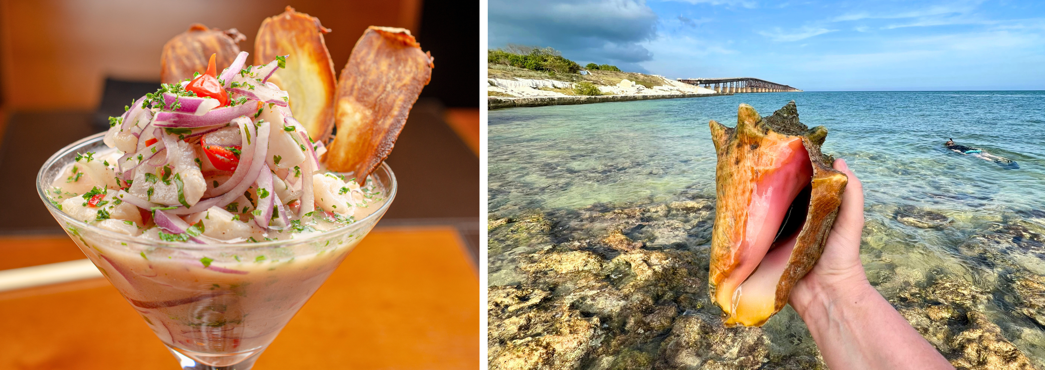 Links ceviche rechts conch schelp in iemands hand