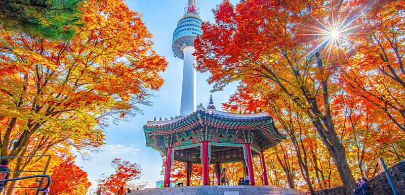 South Korea Minimum Wage 2025: Employer Guide - Atlas HXM