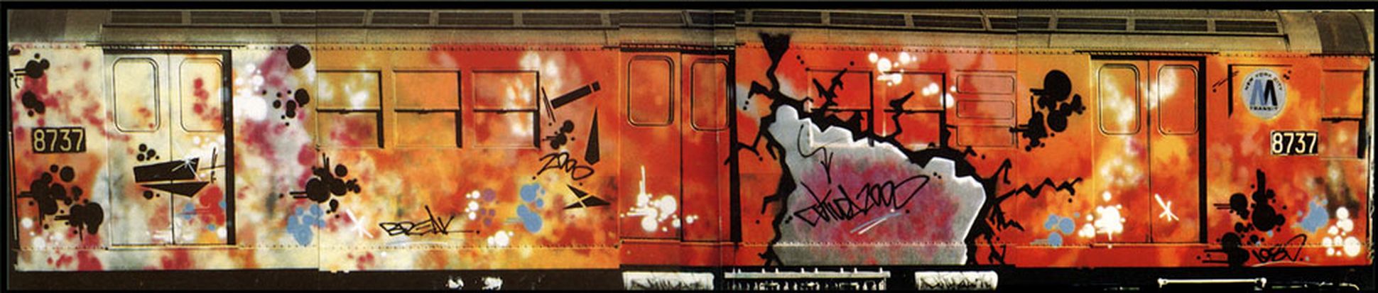 wethenew-futura-break-whole-car