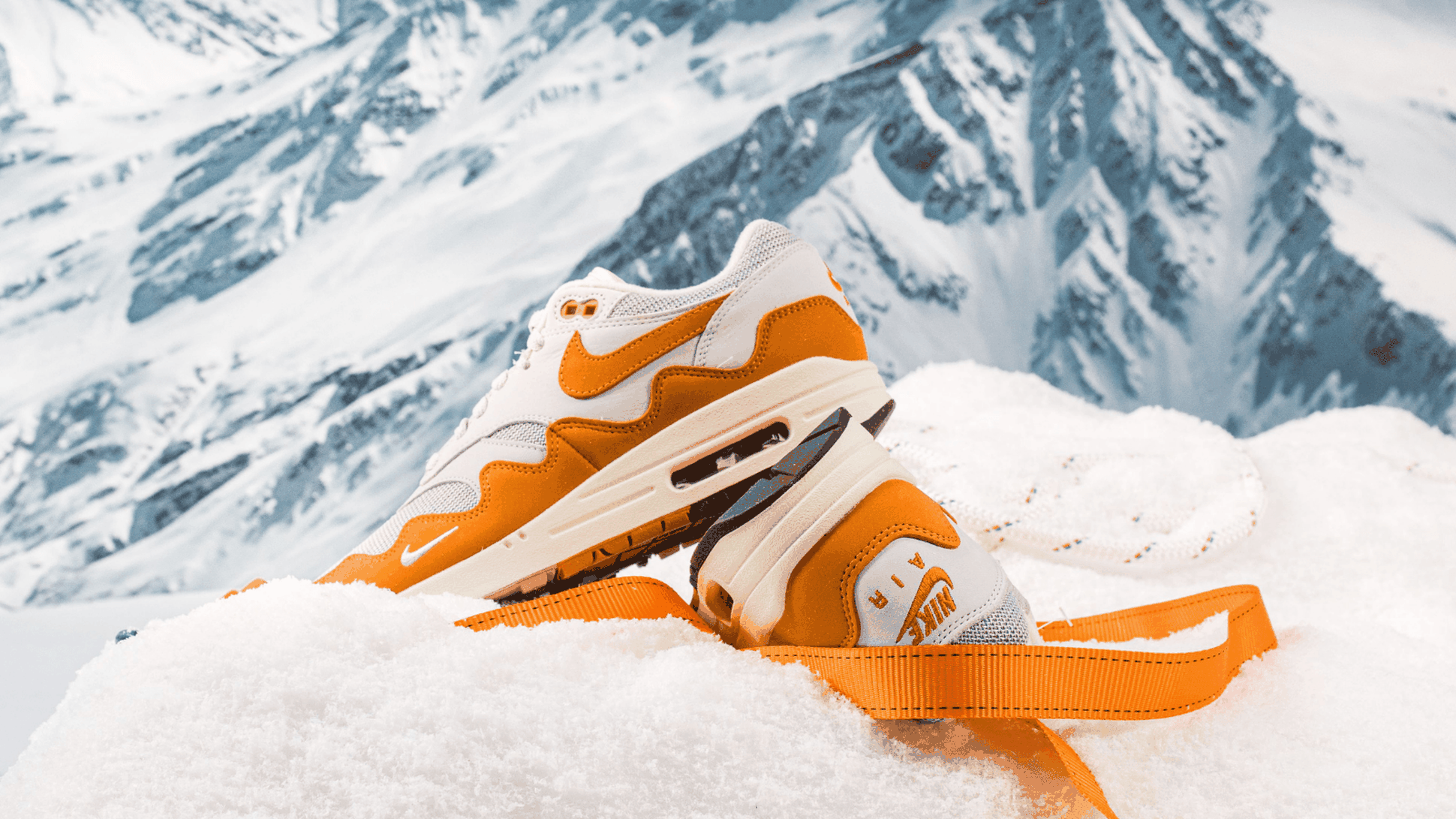 wethenew-patta-monarch